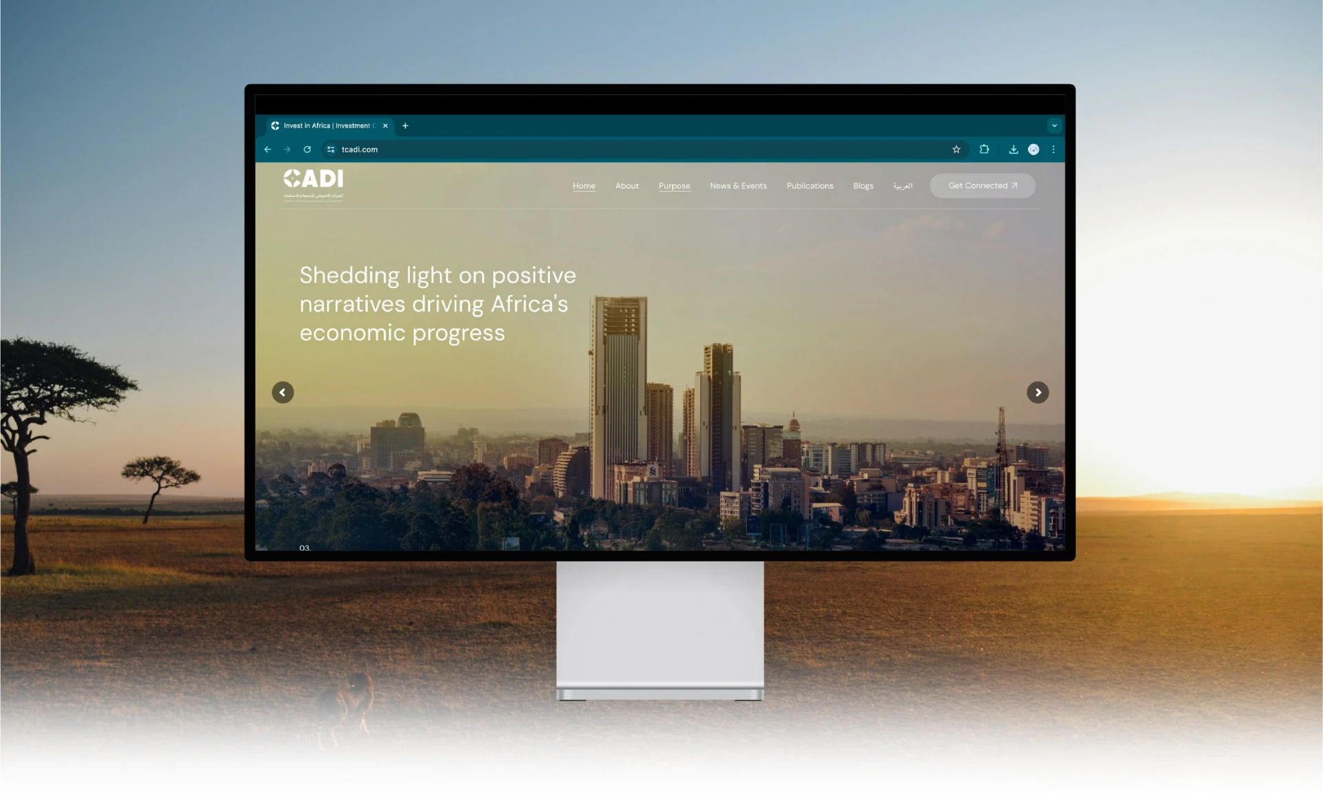 CADI Website Development gallery 3