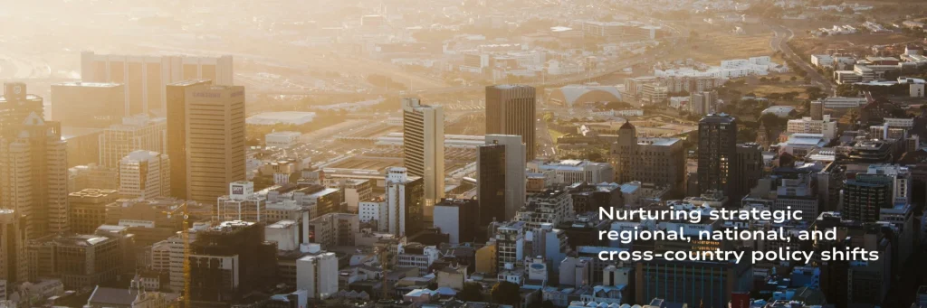 CADI’s Website Development