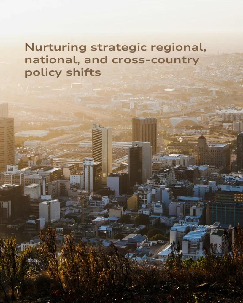 CADI’s Website Development