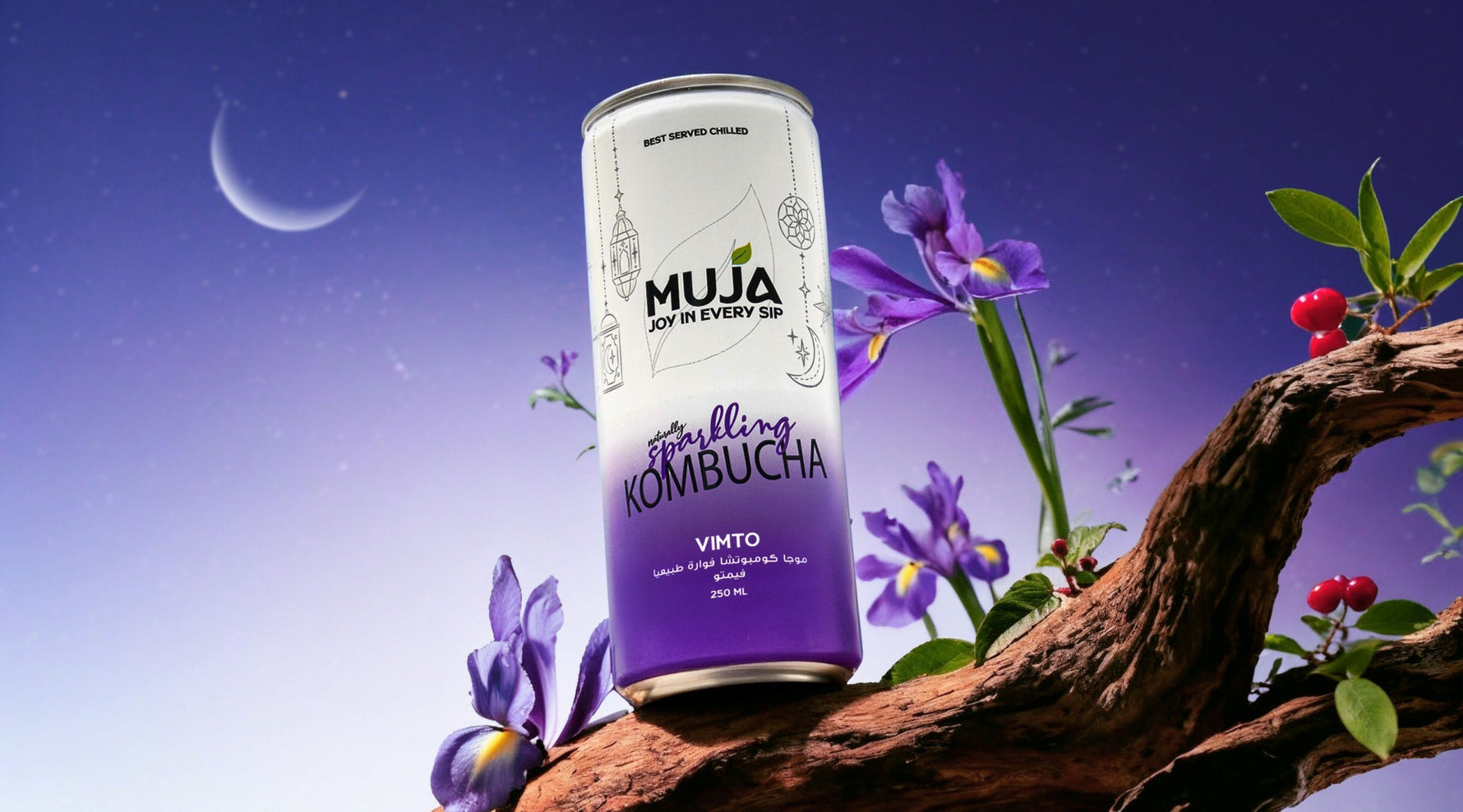 Muja E-Commerce Shopify Development 