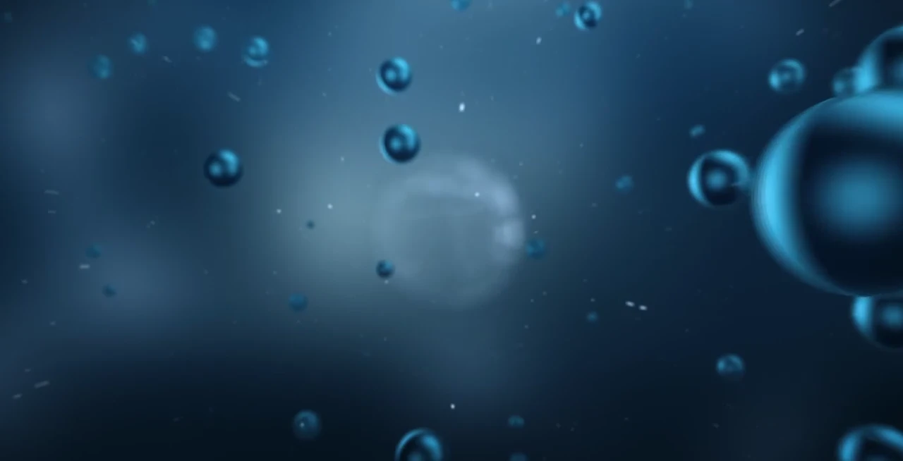 ANECO Website Design & Webflow Development